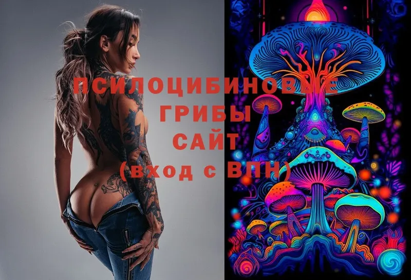 Галлюциногенные грибы Cubensis  это Telegram  Чистополь 